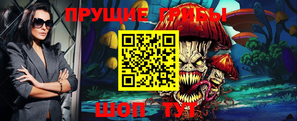 Галлюциногенные грибы Psilocybe  Вход с VPN  Сибай 